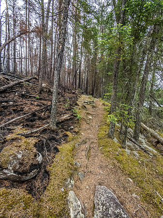 The moisture from the waterfall at right kept the burn from crossing the portage trail here!