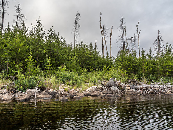 Thanks to Harlan, there's an orange ribbon (right of center) indicating the start of the portage from Haven to Gulch Lake