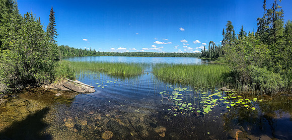 The end of the 150m portage into Douglas Lake.