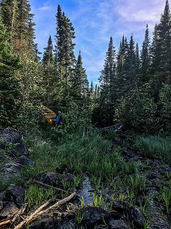 Looking back at Harold and Bill finishing the 100m, somewhat manky, portage back from Robertson to Upper Hatchet Lake.