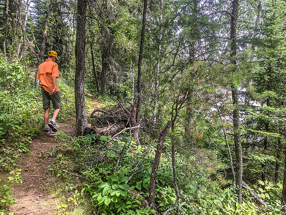 Niko on the excellent portage trail between Beck's Lake and Lower Glenn Lake.