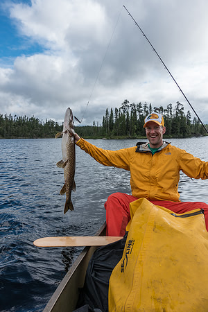 A nice fat pike to start the day on Tuesday - caught trolling a spoon from camp.