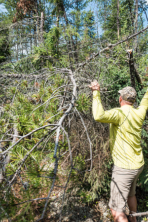 Harold chops away at debris covering the trail from the snowdown / blowdown event of 2012.