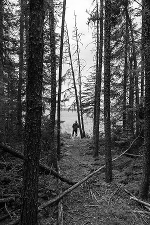 Hentie checks out the storm as the rest of us wait in the trees for it to break.