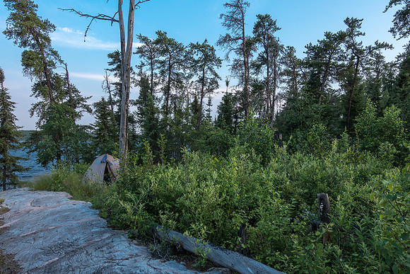 Tent site on the Glenn Lake peninsula site.