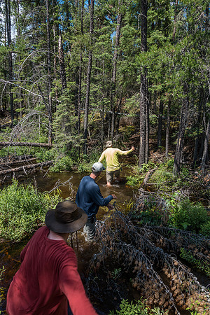 Wading the top of the portage around MH Falls.
