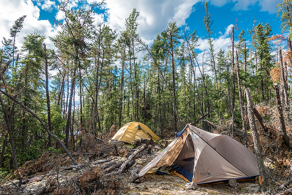 This is a rustic camp - but it worked well and we had TONS of firewood just laying around from the snowdown / blowdown event of October 2012.