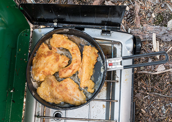 Lake Trout filets.