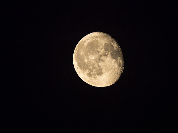 A very full moon rises over our little corner of paradise.