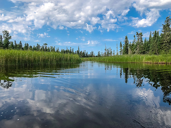 Paddling the Rostoul River between Optic and Telescope Lake.