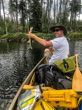 Yeah baby! Rod makes short work of nailing the first of many Walleye on Haven Lake!