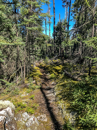 The portage trail to Glenn Lake from Beck's Lake.