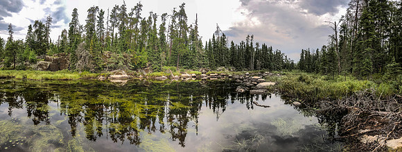 Part of the route from the Suffel Lake Road to Onnie Lake.