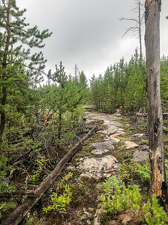 The 575 portage from Gulch to Jigsaw Lake.