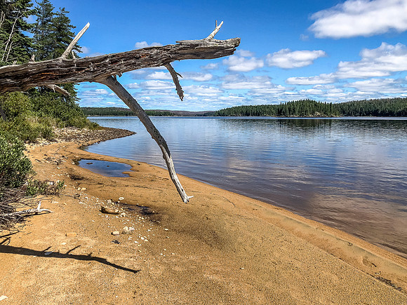 A sandy beach on Mexican Hat Lake.