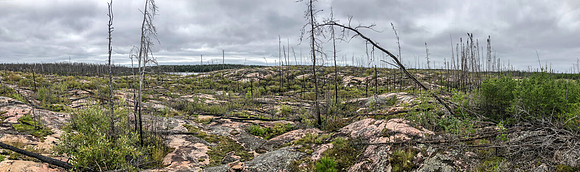 I love this terrain for some reason. The dreary landscape is offset by the cheery pink in the rocks.
