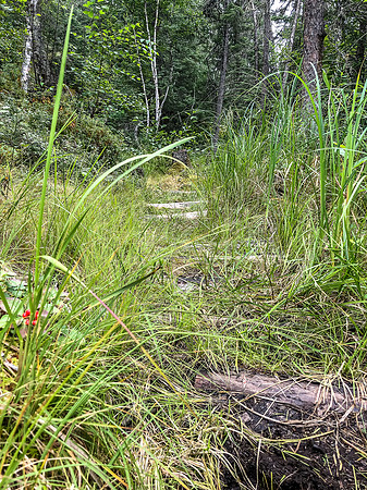 The portage between Amber and Nutria Lake.