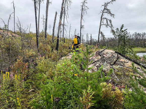 The 825m portage between Jigsaw Lake and Wrist Lake is much easier than its length implies.