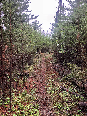Portaging to Gulch Lake.