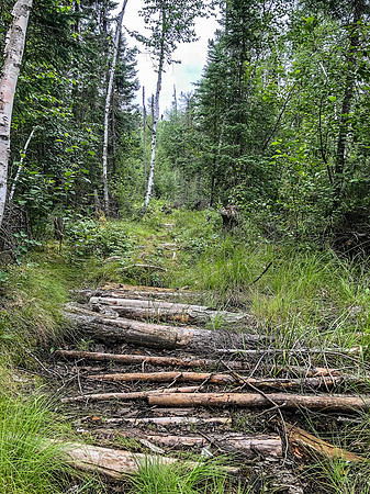 The portage between Amber and Nutria Lake is always a bit of a harbinger of the "suck" to come, as it always seems to be wet and mucky.
