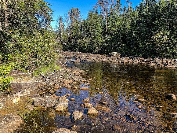 Well that's depressing! This "falls" is usually even more stacked with larger Walleye on the downstream (Glenn Lake) side.