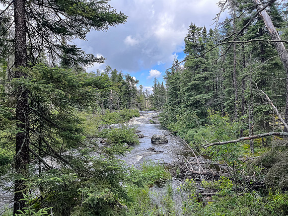The 200m portage just north of East Lunch Lake is scenic.