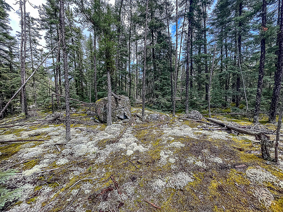 The 200m portage just north of East Lunch Lake is scenic.