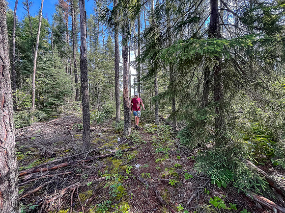 The 100m portage north out of Bunny Lake towards East Lunch Lake.