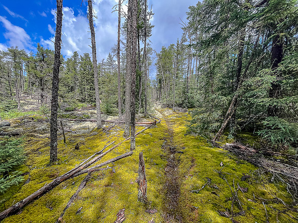 The 200m portage just north of East Lunch Lake is scenic.