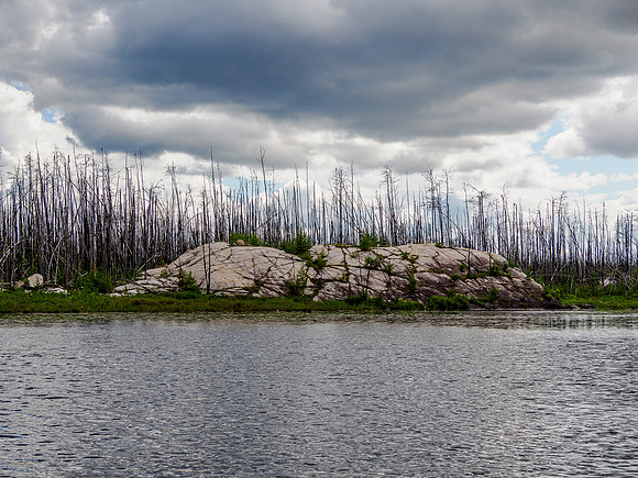 The 2016 Red 003 fire burnt this area of the lake.