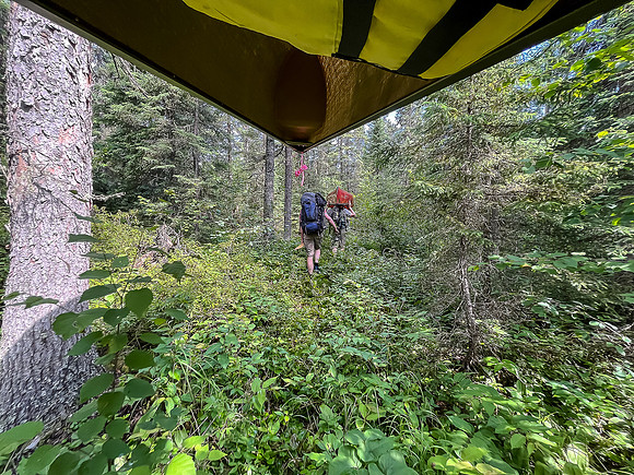On the 400m portage north of Bunny Lake towards East Lunch Lake.