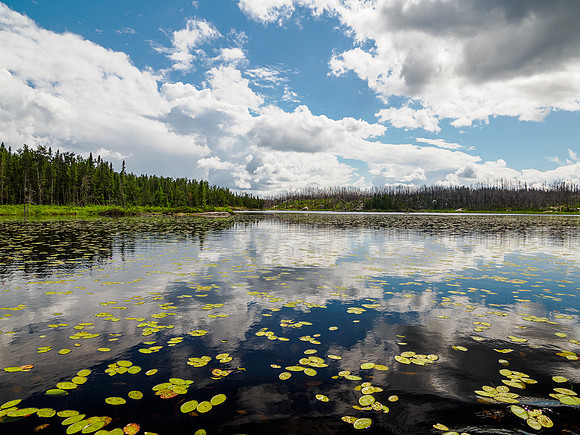 East Lunch Lake.
