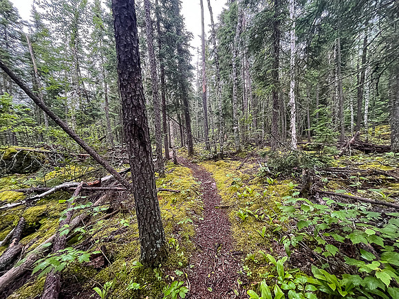 The 300m "Roots & Rocks" portage between Leano and Bunny Lake.