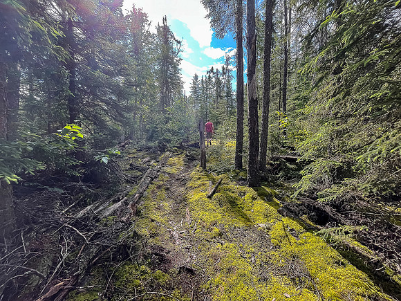 On the 400m portage north of Bunny Lake towards East Lunch Lake.