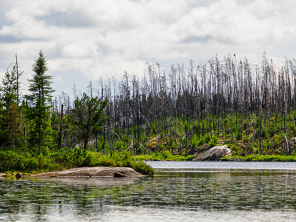 East Lunch Lake.