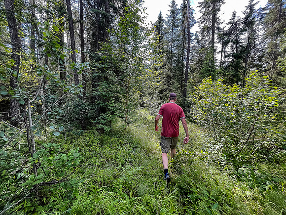 On the 400m portage north of Bunny Lake towards East Lunch Lake.