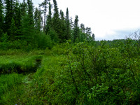 Looking back at the correct stream we finally found to the portage.