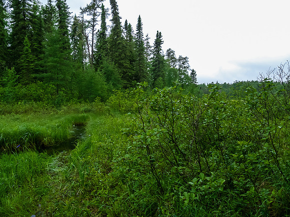 Looking back at the correct stream we finally found to the portage.