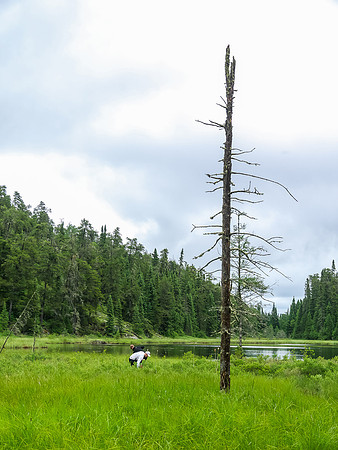 Portaging into Middle Kilburn from Dragon Lake.