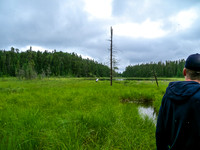 Portaging into Middle Kilburn from Dragon Lake.