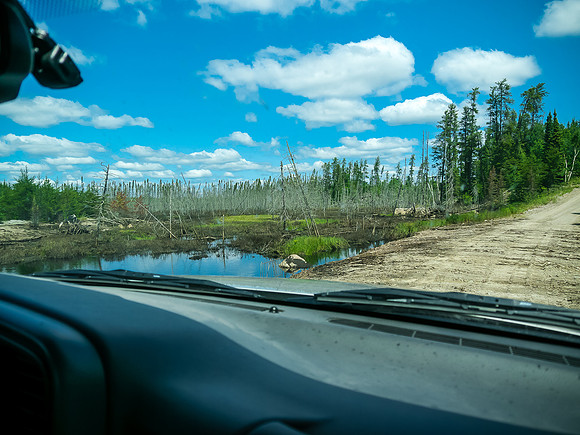 The patched up road.