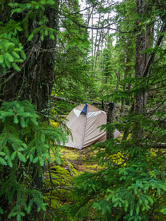 Rod and I set up our tent well away from the others on a deluxe bed of soft moss.