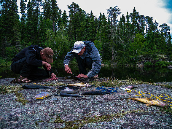 Fresh walleye for a late night snack.