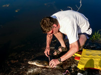 Cleaning fish on Haggart Lake.