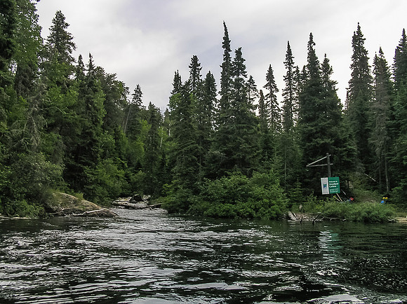Saying goodbye to Woodland Caribou.