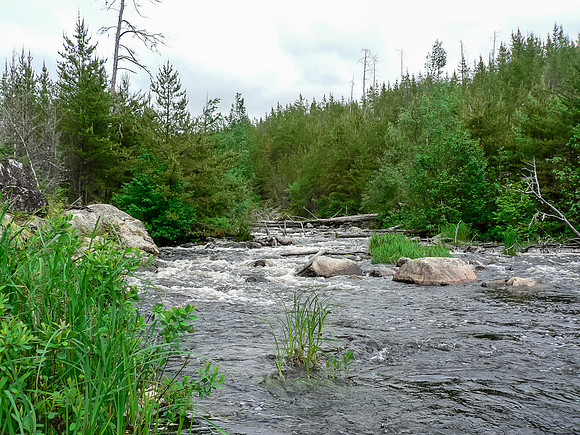 A small falls on the Garner River.