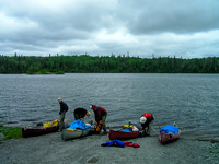 Woodland Caribou 2005