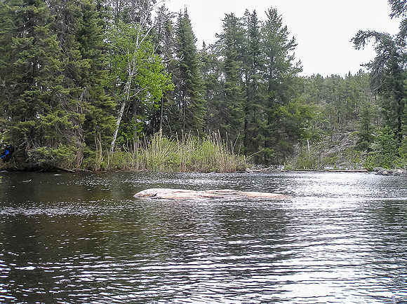 Paddling the Haggart River.