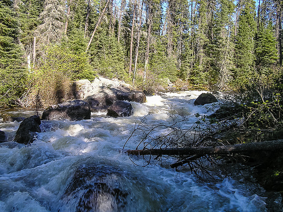 Another portage around a small falls.