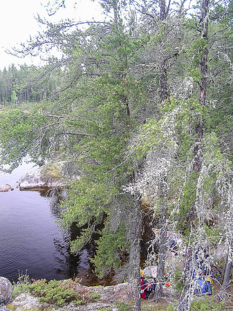 Lunch on the Haggart River.